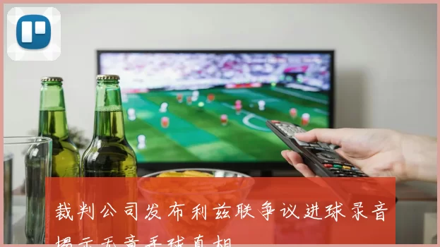 裁判公司发布利兹联争议进球录音揭示无意手球真相